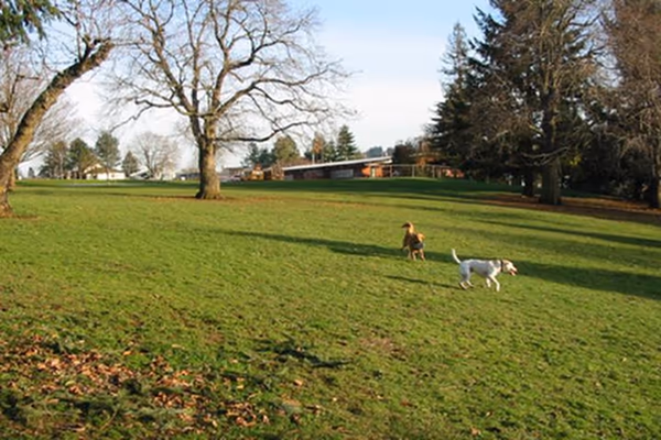 Grant Park Off Leash Area